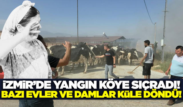İzmir'de alevler mahalleye ulaştı: Bazı evler küle döndü
