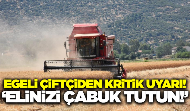 Egeli çiftçiden hayvan üreticilerine kritik uyarı!