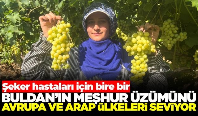 Buldan’ın Süperior Üzümü şeker hastalarının da gözdesi