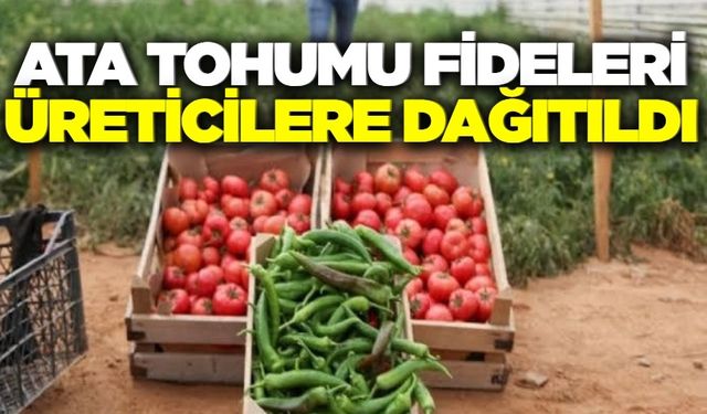 Ege'de milyonlarca ata tohumu fidesi dağıtılıyor