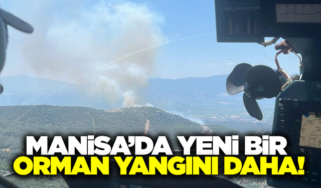 Manisa'da yeni bir orman yangını daha!