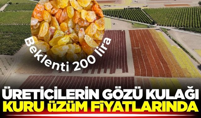 Manisa’da gözler kuru üzüm fiyatına çevrildi