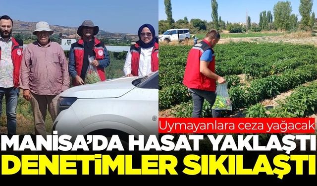 Manisa'da hasat öncesi pestisit denetimleri sıkılaştırıldı