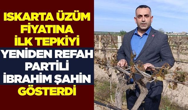 Manisa'daki ıskarta üzüm fiyatına ilk tepki Yeniden Refah Partisi'nden geldi
