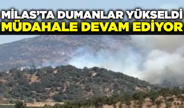 Milas'ta dumanlar yükseldi: havadan ve karadan müdahale sürüyor