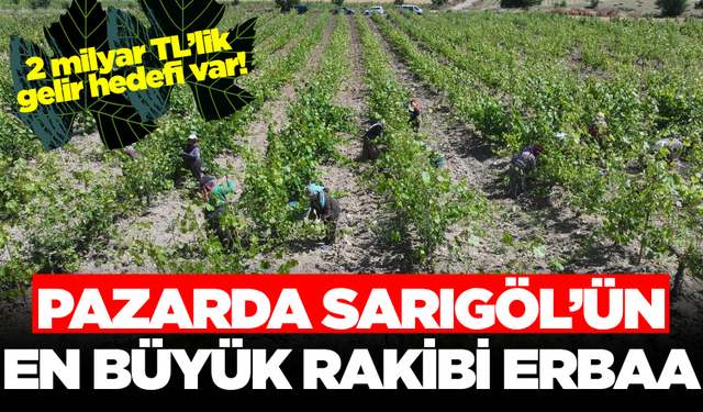 Sarıgöl'ün en büyük rakibi! 2 milyar TL'lik gelir hedefliyor