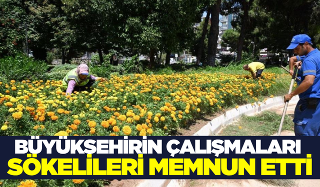 Aydın Büyükşehir Belediyesi'nden Kapsamlı Hizmet Seferberliği