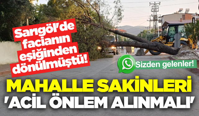 Sarıgöl’de mahalle sakinlerinden ağaçlara acil bakım çağrısı