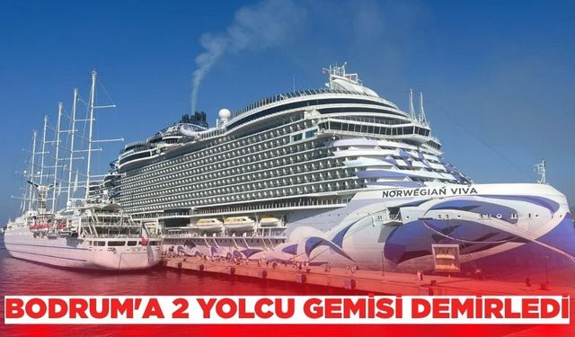 Ege'de 2 yolcu gemisi demirlendi!