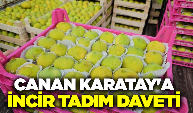 Buharkent'in Taze İncir Festivali başladı!