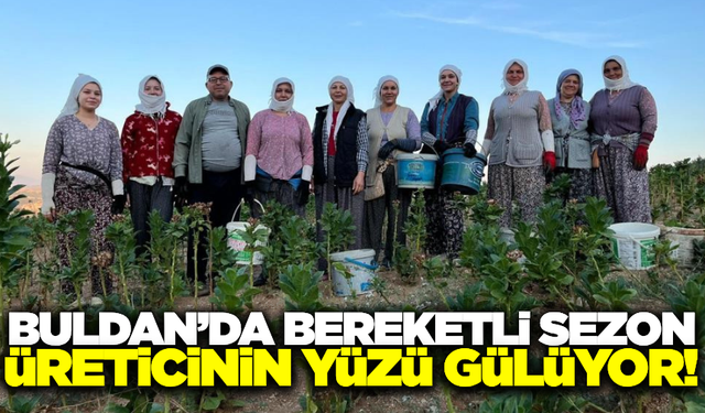 Buldan'da bereketli sezon: Fiyatlar üreticinin yüzünü güldürdü