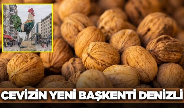 Denizli artık cevizin başkenti