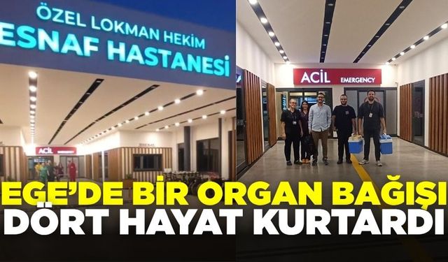 Bir organ bağışı, dört hayat