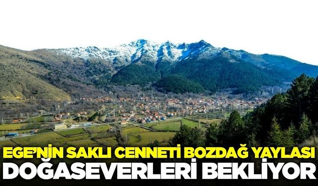 Ege’nin Gözdesi: Bozdağ Yaylası Serinliği ve Huzuruyla Büyülüyor