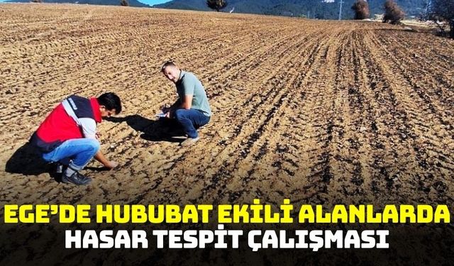 Ege'de hasar tespit çalışması gerçekleştirildi!