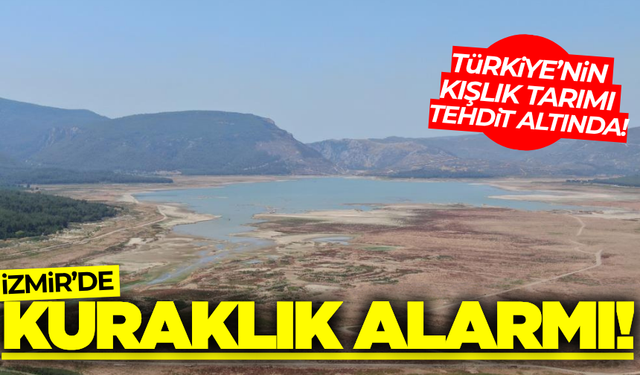 İzmir'de kuraklık tehlikesi! Tarım ürünleri tehdit altında