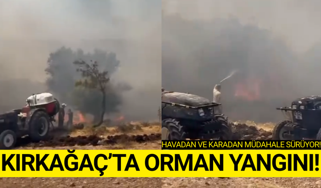 Kırkağaç'ta orman yangını!