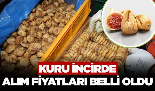Kuru incir alım fiyatları belli oldu!