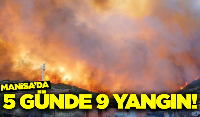 Manisa'da yangınlara hızlı müdahale!