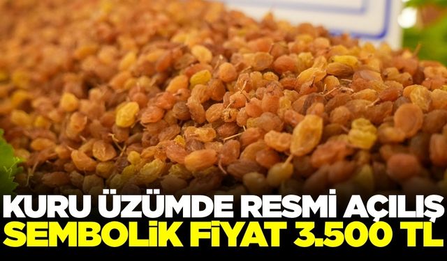 Manisa'da kuru üzüm sezonun açılışı yapıldı