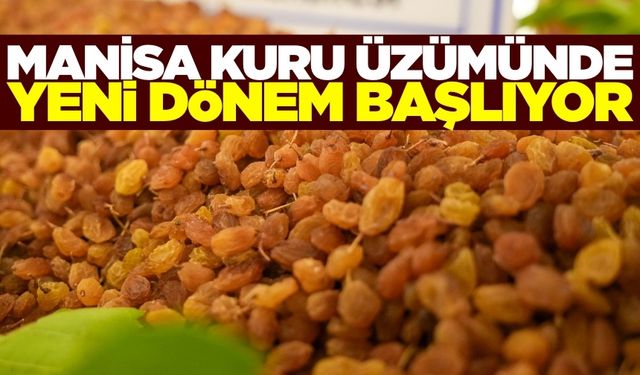 Manisa’da Kuru Üzümde MOSH ve MOAH Bulaşanları karşı savaş