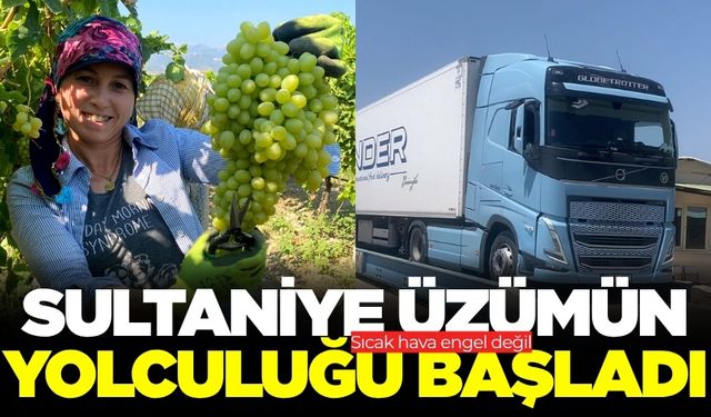 Resmen başladı! Üzümler yola çıktı