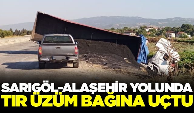 Sarıgöl-Alaşehir yolunda ziftli çakıl taşı yüklü tır üzüm bağına uçtu