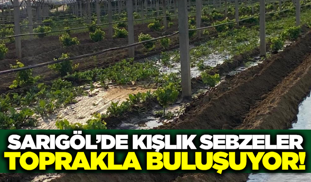 Sarıgöllü çiftçiler kışa hazırlanıyor!