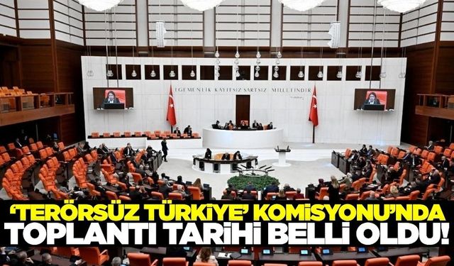 'Terörsüz Türkiye' Komisyonu'nda ilk toplantı tarihi belli oldu!