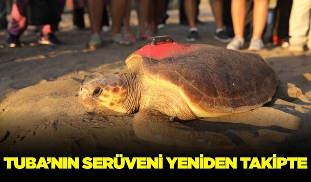 Tuba'nın yolculuğu yeniden takipte