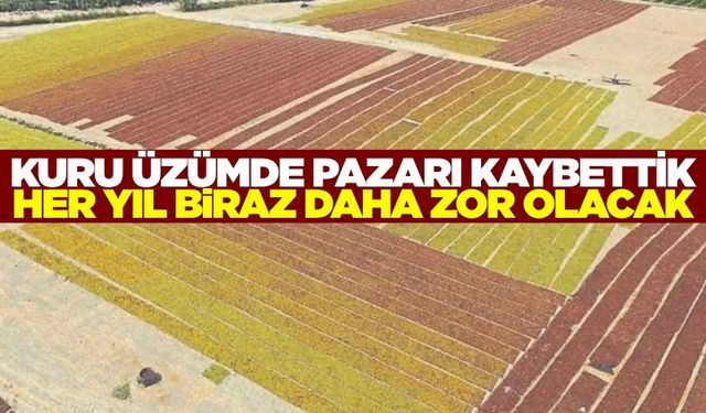 Üzüm üreticilerini zor günler bekliyor