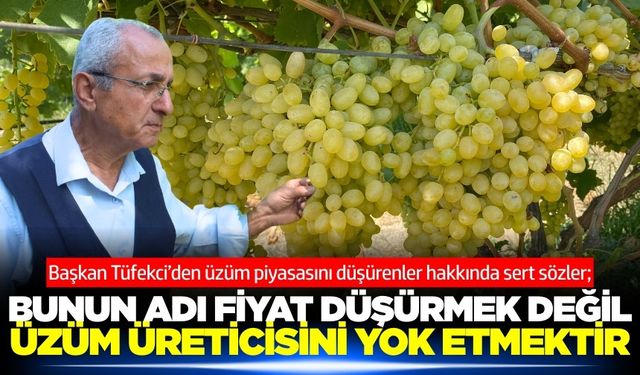 Yusuf Tüfekci'den zehir zemberek açıklamalar