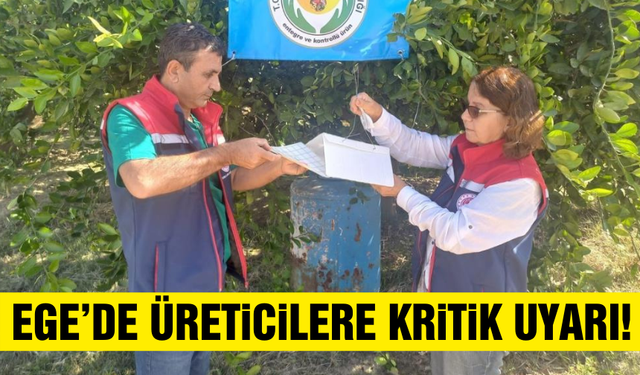 Aydın'da turunçgil üreticilerine uyarı!