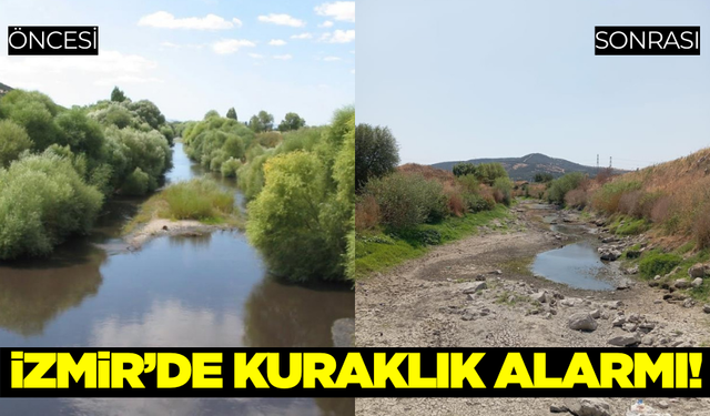 Bakırçay Kurudu, Çiftçinin Ürünü Tarlada Yandı