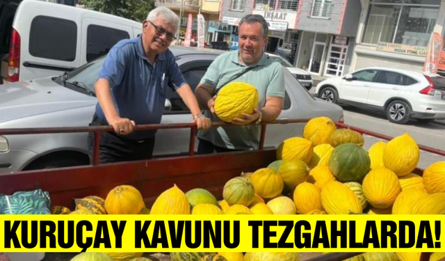 Eşsiz aromasıyla bilinen Kuruçay kavunları tezgahlarda!