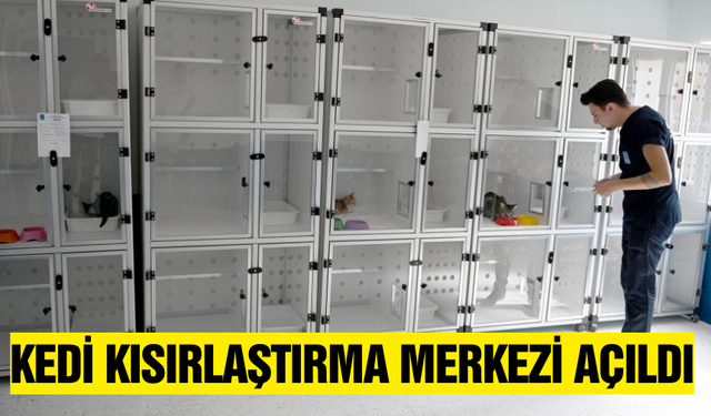 Kuşadası Belediyesi,  Kedi Kısırlaştırma Merkezi açtı