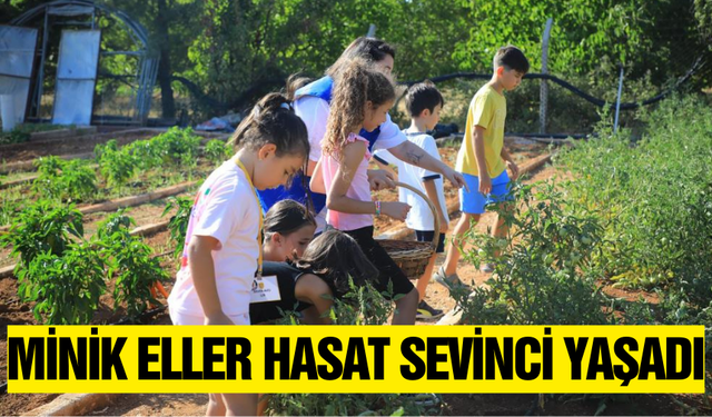 Muğla'da "Minik Eller İşbaşında" projesi ilk ürünlerini verdi