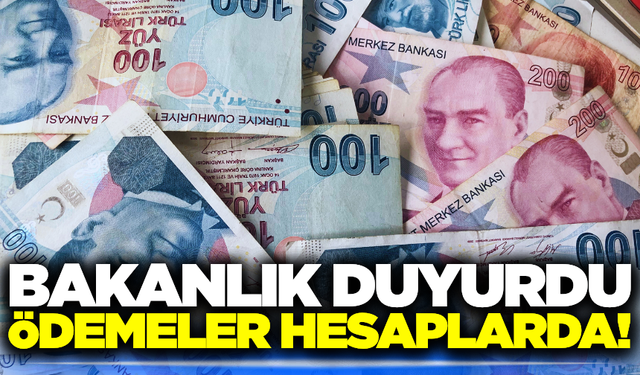 4,6 milyar liralık destek ödemeleri hesaplara yatırıldı!