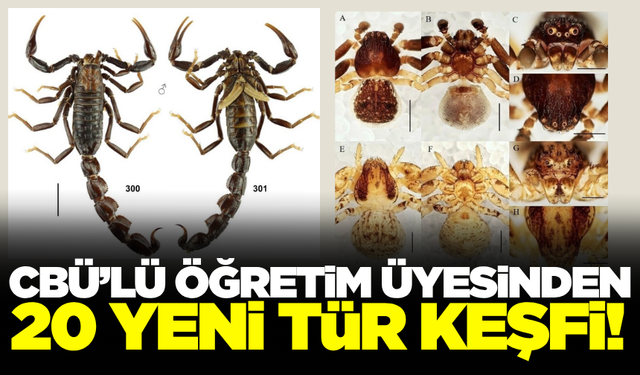 Manisa CBÜ'lü öğretim üyesi 2025'te tam 20 yeni tür keşfetti!