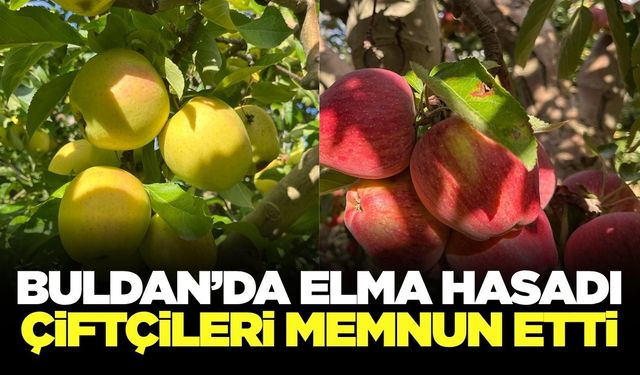 Buldan elmasında verim ve kalite yüz güldürüyor