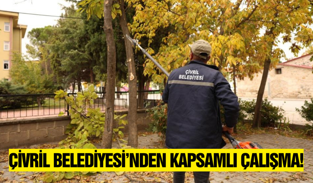 Çivril Belediyesi'nden kapsamlı ağaç budama çalışmaları