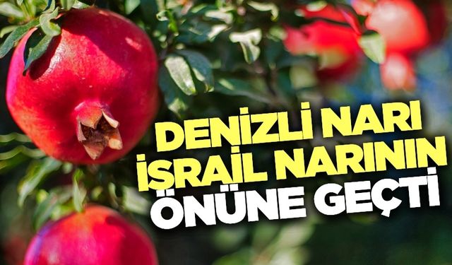 Denizli’de 2025’in ilk nar ihracatı yapıldı