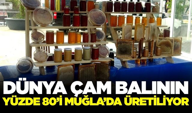 Ege şehri çam balında dünya birincisi