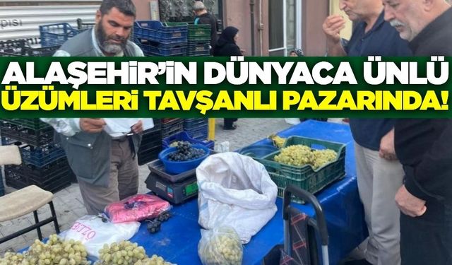 Eşsiz lezzetiyle Alaşehir üzümü, Tavşanlı tezgahlarında!