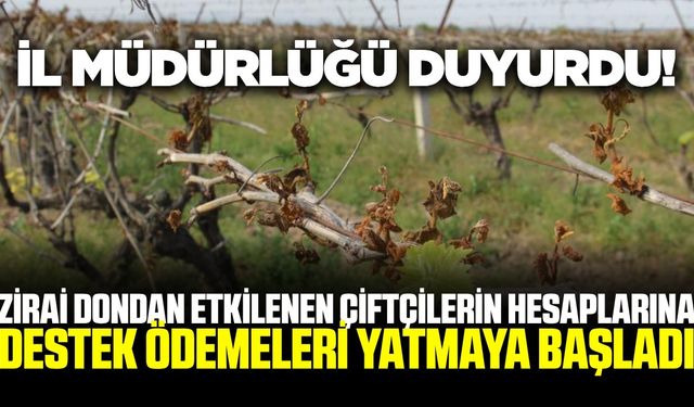 Zirai dondan etkilenen çiftçilere destek ödemeleri yatmaya başladı