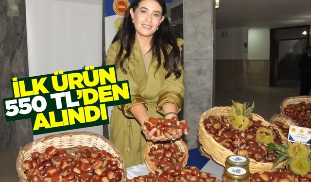 Ege'de 2025 yılı kestane sezonu başladı