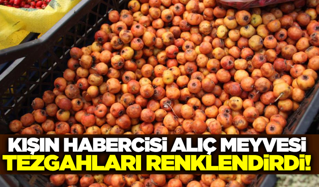 Kışın habercisi 'Alıç' tezgahlarda!