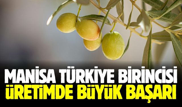Manisa rekor kırdı! Türkiye birincisi oldu
