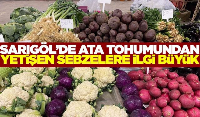 Sarıgöl'de ata tohumundan üretim devam ediyor