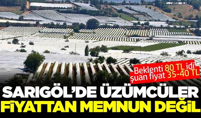 Sarıgöl'de üreticiler mutsuz! İhracat hız kazanmalı
